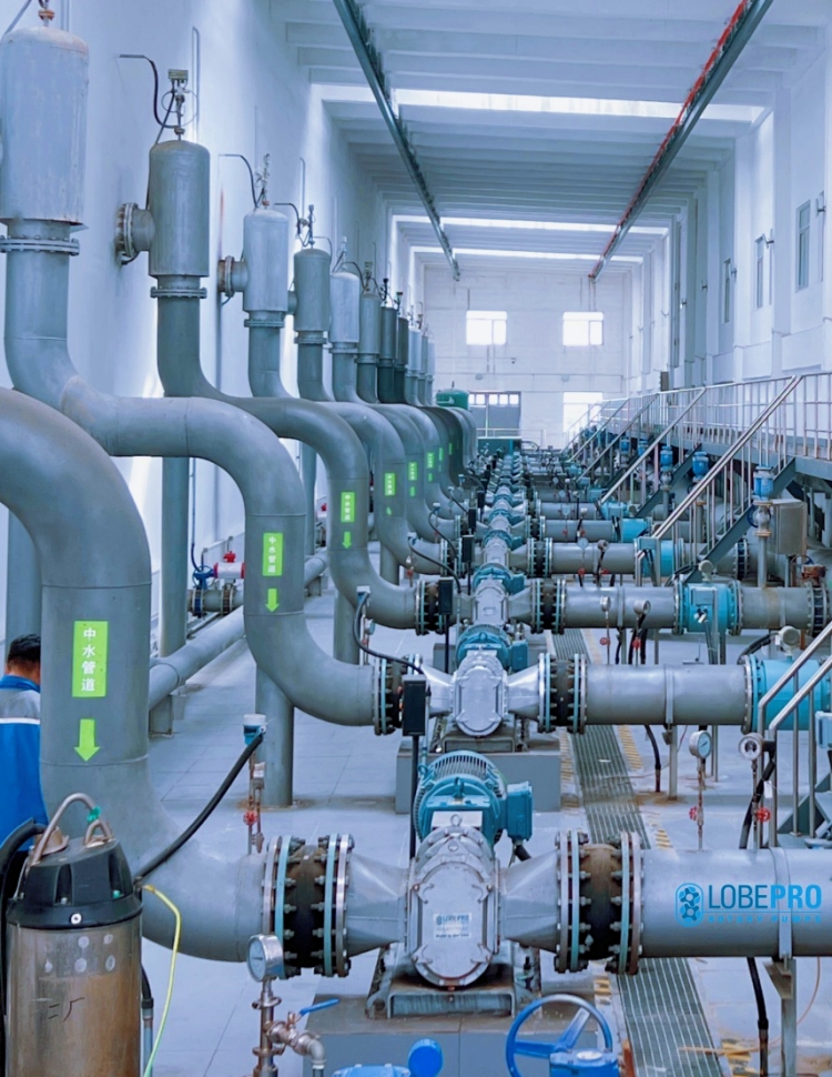 Rotary Lobe Pump, Rotor Pump