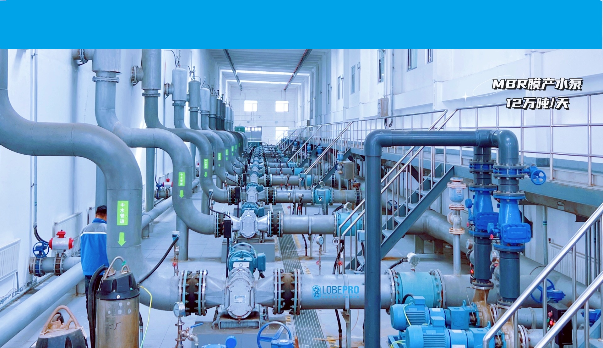 Rotary Lobe Pump, Rotor Pump